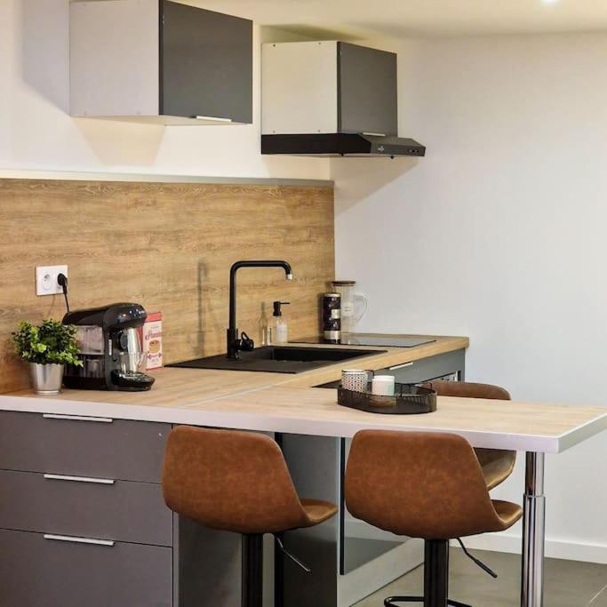 Apartmán Grand Loft Avec Terrasse Privee Saint-Etienne  Exteriér fotografie